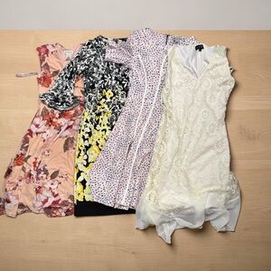 Floral and Lace Dress Collection 4 piece size 6
